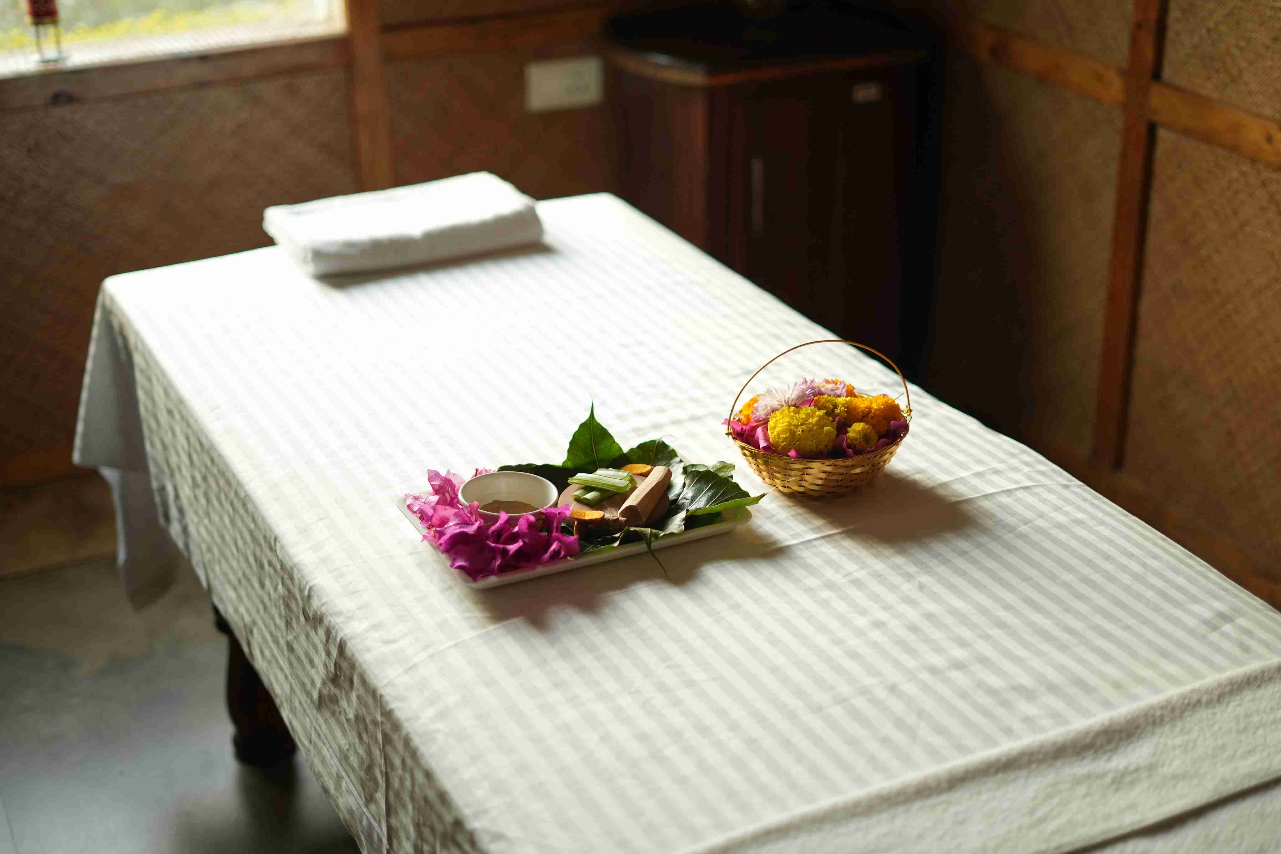 Ayurvedic Therapies Daily